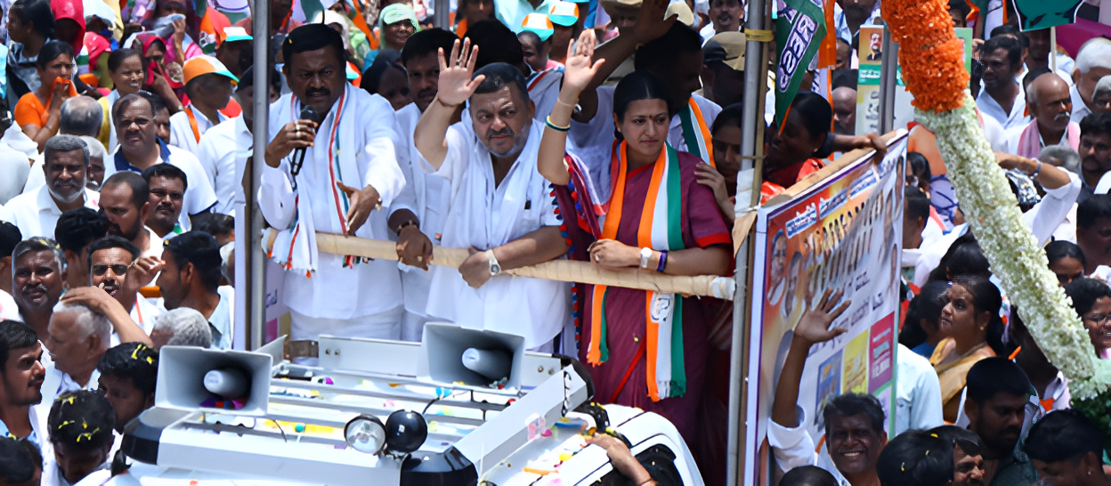 Political Career Image